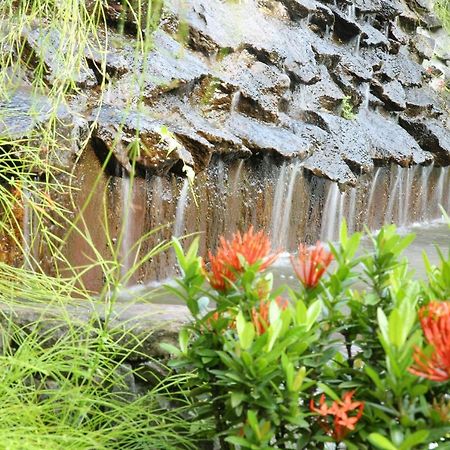 Ayurveda Centrum Lawrence Hill Paradise Хиккадува Экстерьер фото