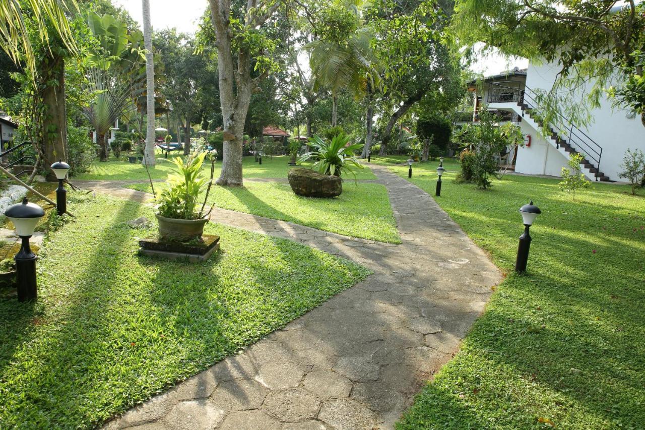Ayurveda Centrum Lawrence Hill Paradise Хиккадува Экстерьер фото